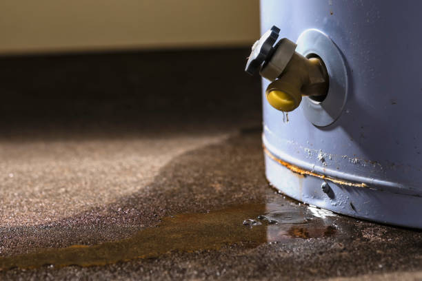 Best Water damage contractors near me  in Mahnomen, MN