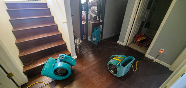 Best Water damage cleanup near me  in Mahnomen, MN