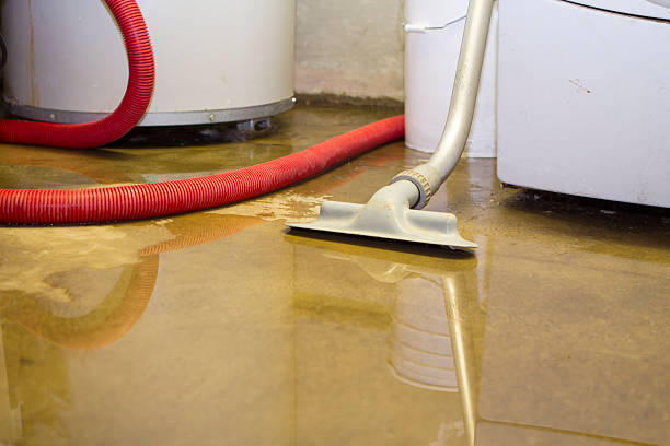 Best Emergency water extraction  in Mahnomen, MN